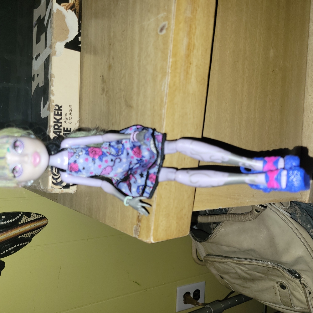 Monster High Doll with Blue and Pink Outfit
